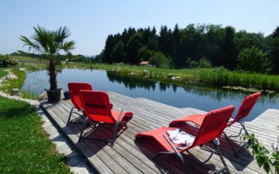 Wilt u elke ochtend een frisse duik nemen in uw eigen tuin?