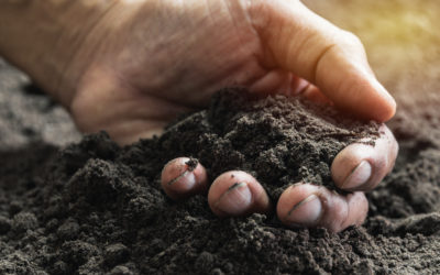 Strooigoed voor uw tuin!