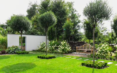 Tuintip #5 Vervang tegels voor groen!