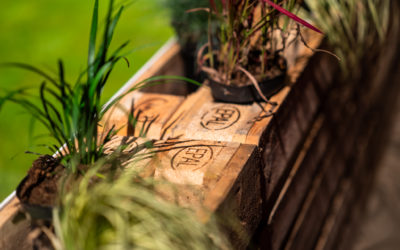 Terugblik op onze tuintips
