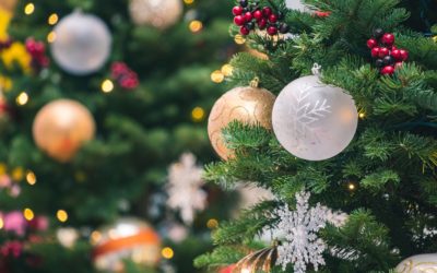 Haal een kerstboom in huis!