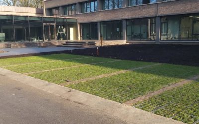 ‘Groene’ parkeerplaatsen voor het Annapark!