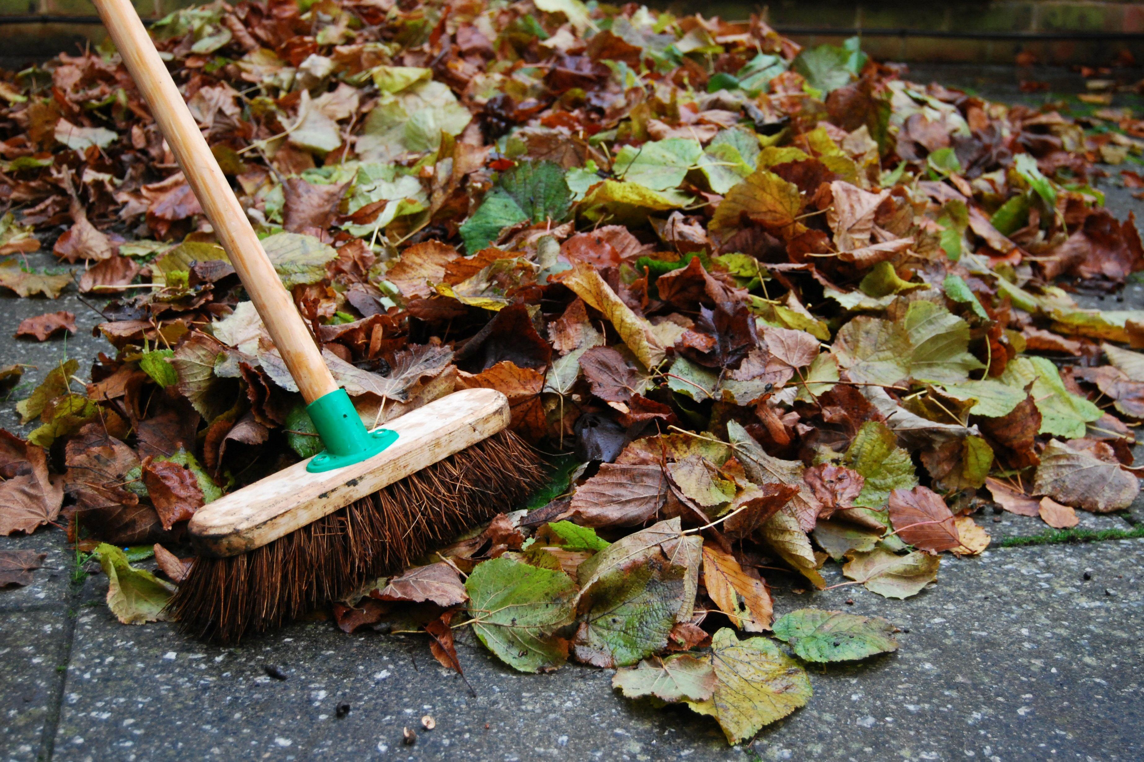 Tuin schoon vegen -  De Middelpas Hoveniers