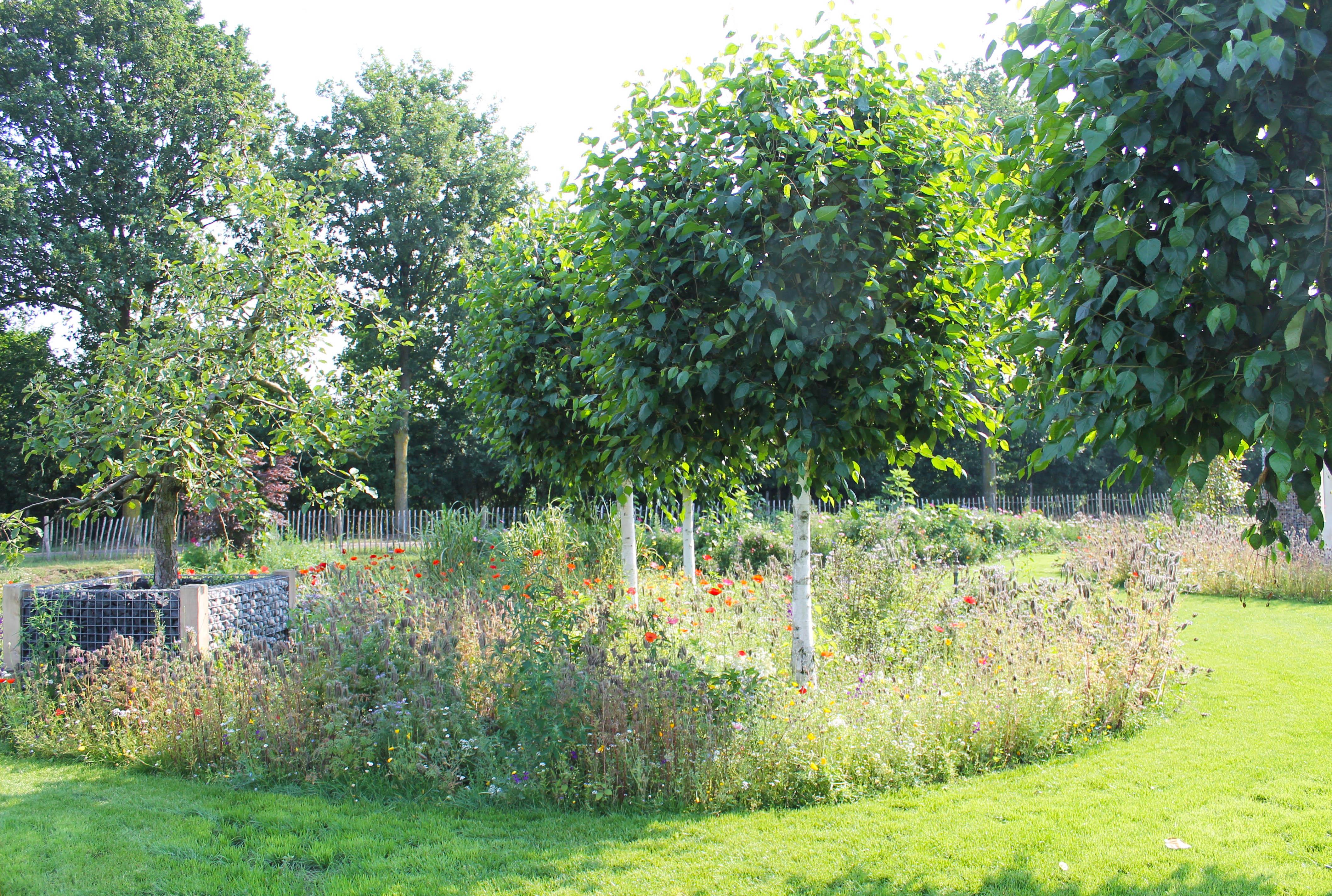 Bloemenmengsel - De Middelpas Hoveniers Swolgen