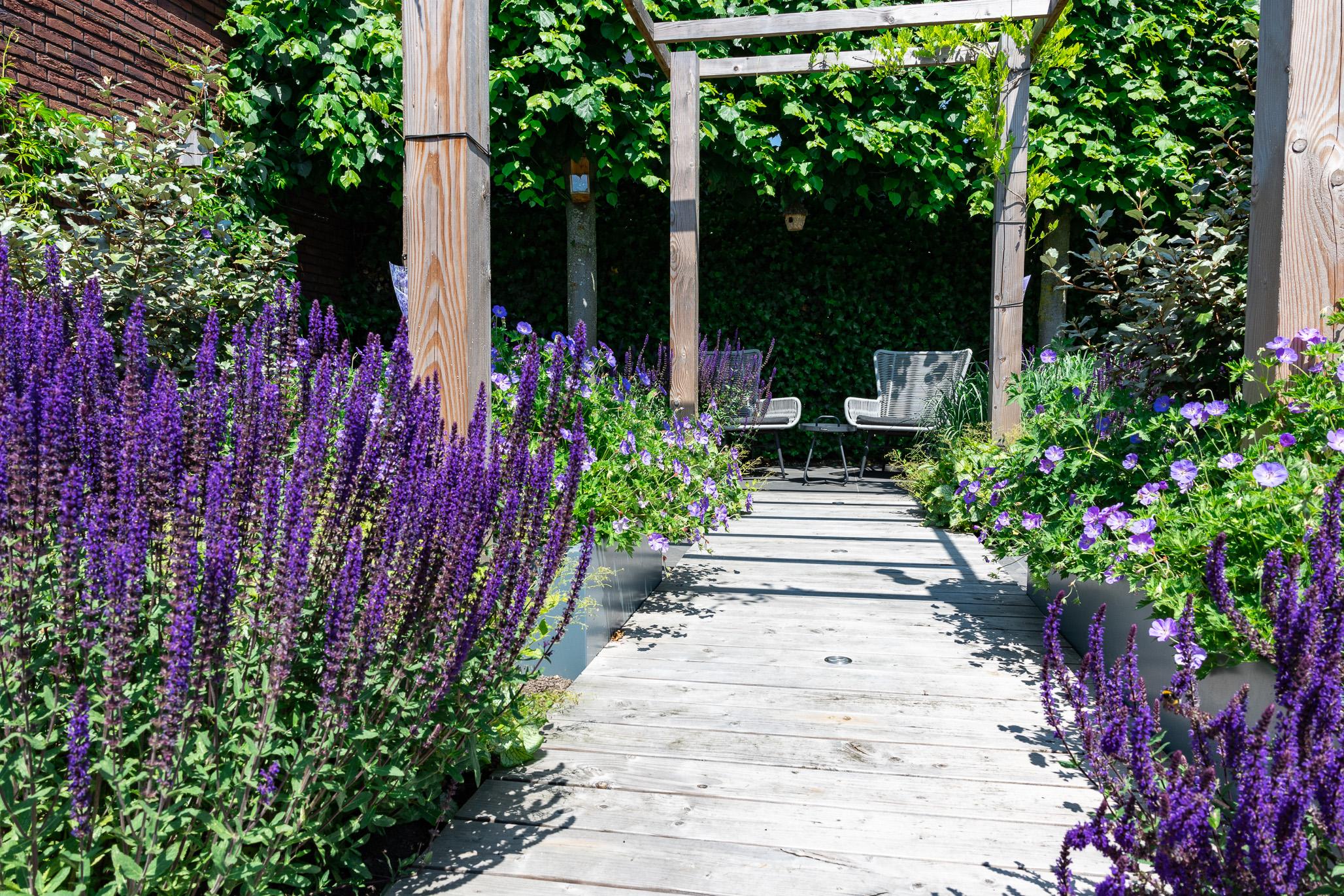 Weelderige tuin - stans tuin