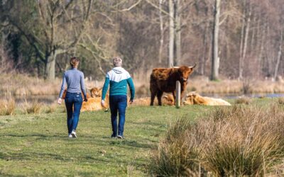 Trots partner van MÕSA Challenge