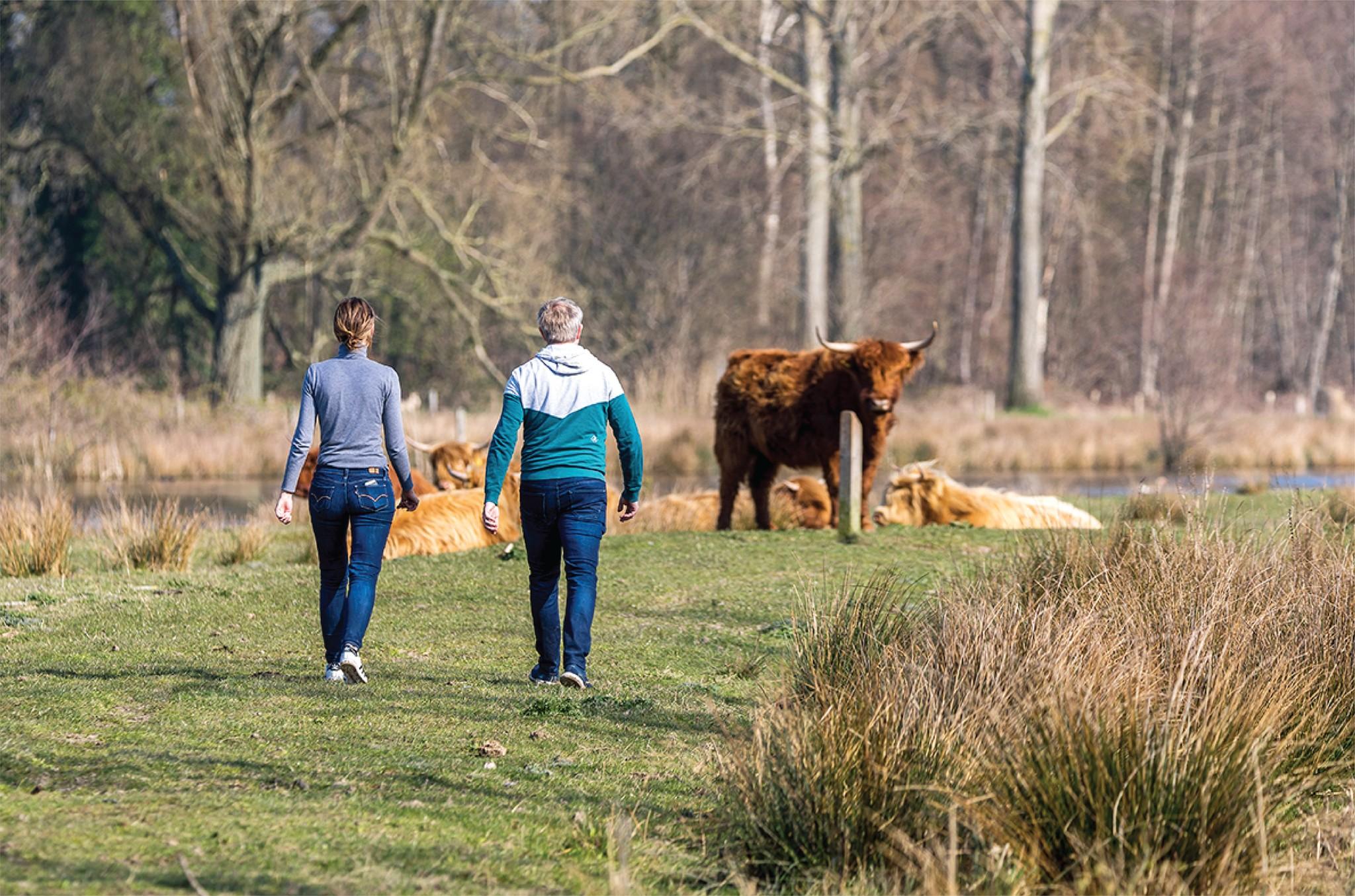 Tuin schoon vegen -  De Middelpas Hoveniers