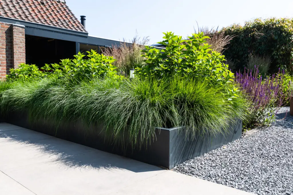 De Middelpas tuinaanleg, Plantenborders