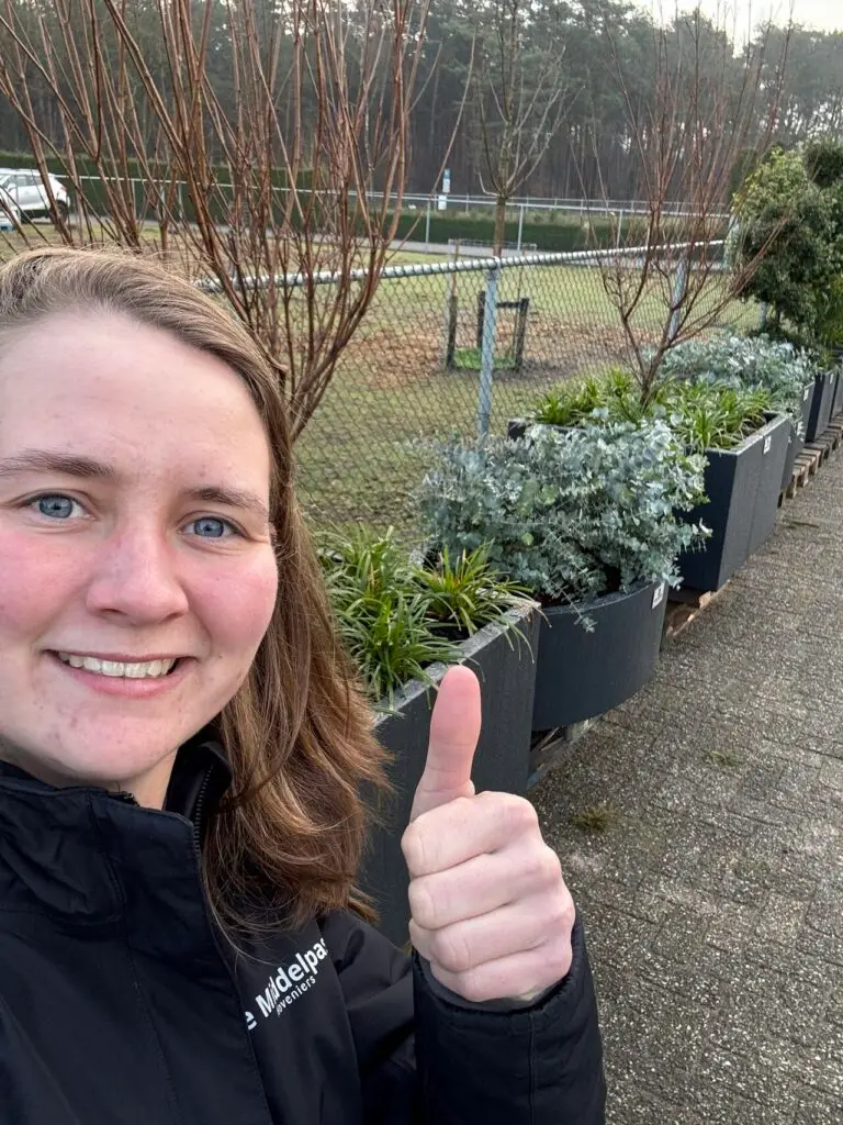 Jikke van Gerven, Eventgroen